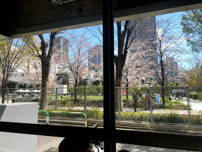 ブルーボトルコーヒーのバリスタさんもオススメ「南池袋公園」