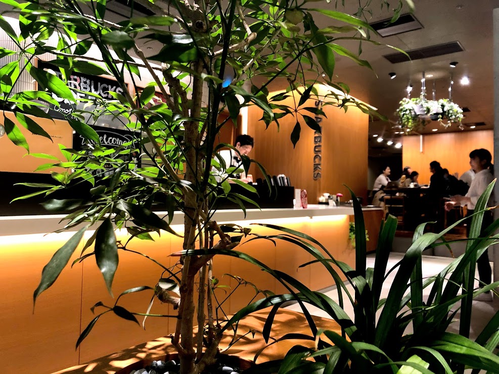 国内初の店舗導入「バイオフィリックデザイン」とは？
